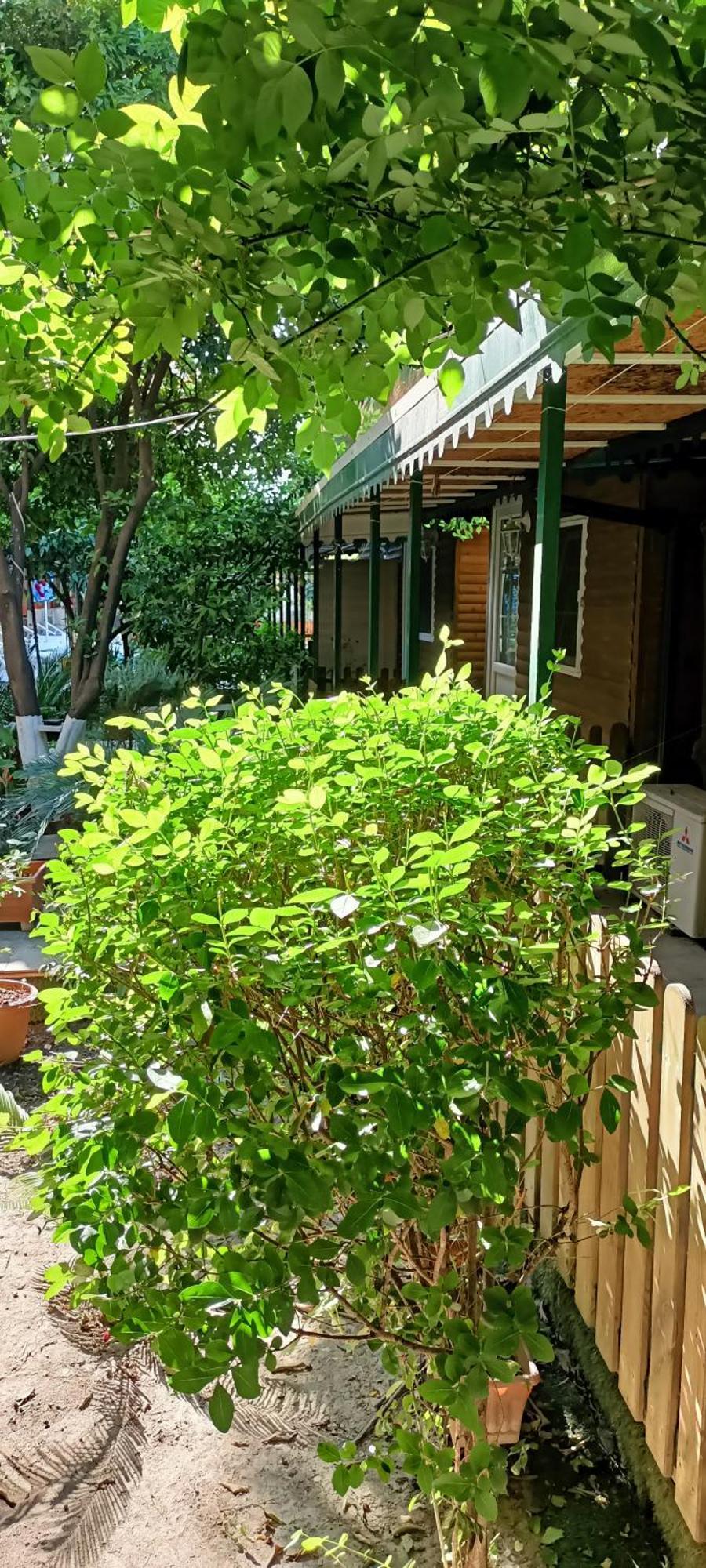 Santana Hotel Beldibi  Dış mekan fotoğraf